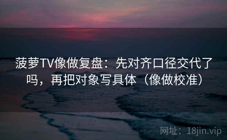 菠萝TV像做复盘：先对齐口径交代了吗，再把对象写具体（像做校准）